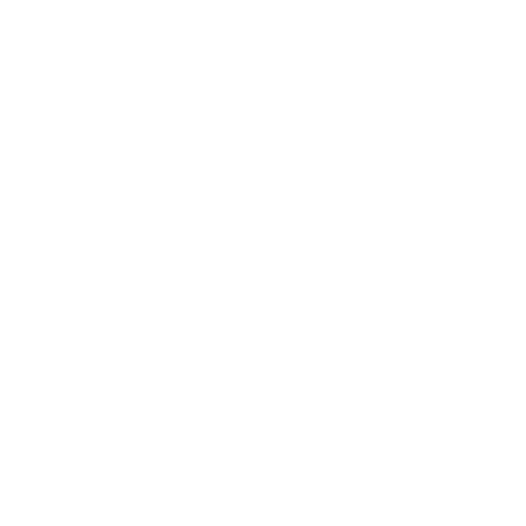 logo rsa branca